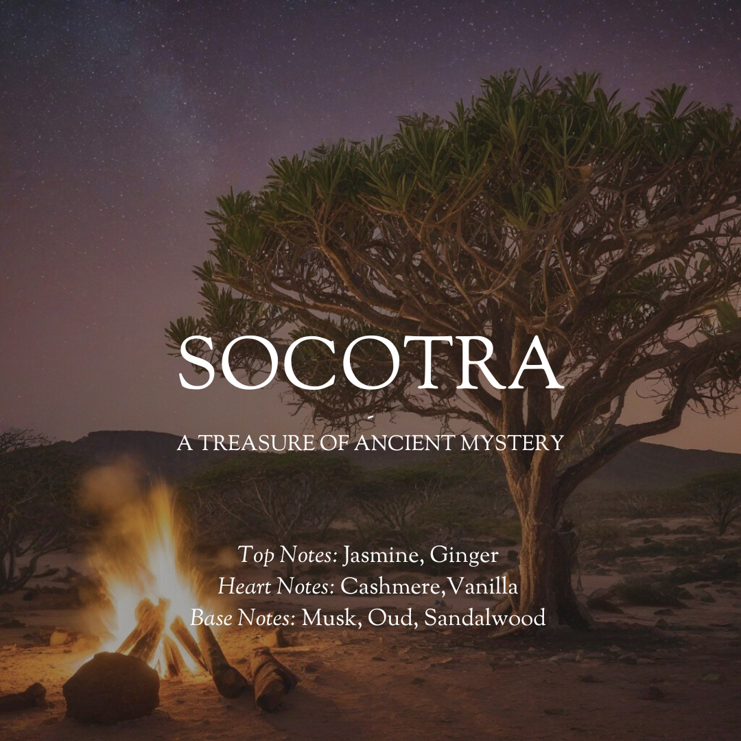 Socotra Candle