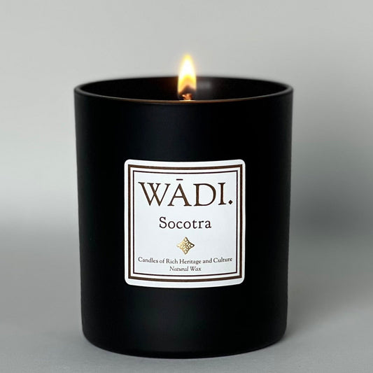 Socotra Candle